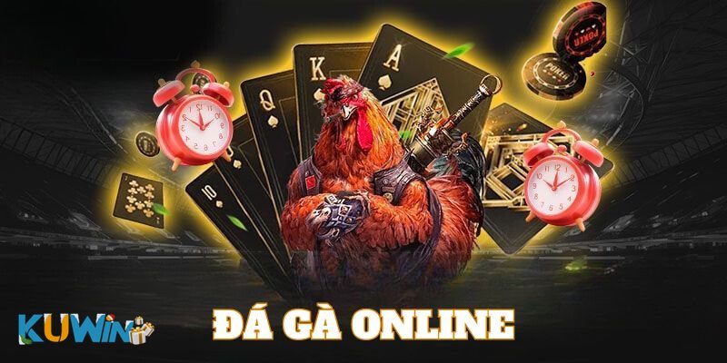 Đá gà Kuwin2 - Kèo tổng hợp và cược theo chuỗi trận